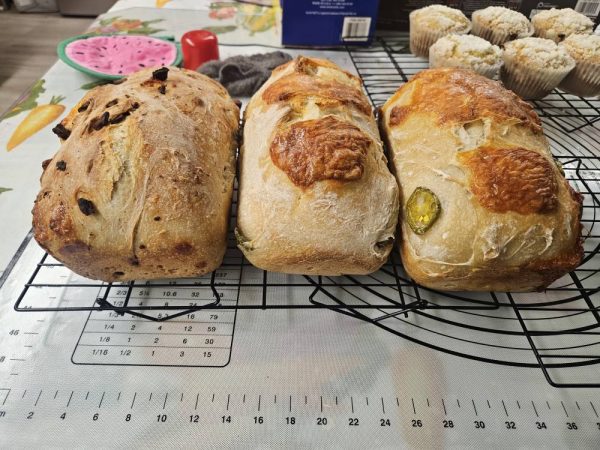 Sourdough Bread - Cheddar Jalapeño