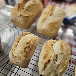 Stagecoach sourdough Breads, Haines Oregon