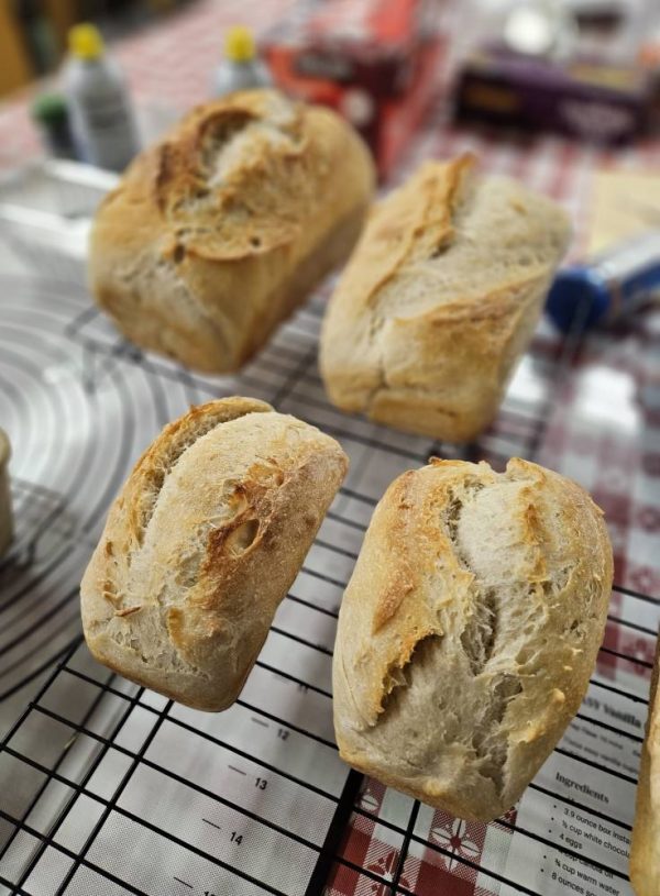 Stagecoach sourdough Breads, Haines Oregon